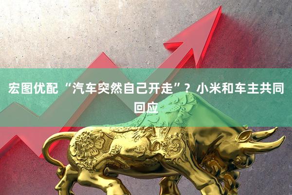 宏图优配 “汽车突然自己开走”？小米和车主共同回应