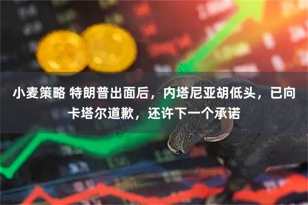 小麦策略 特朗普出面后，内塔尼亚胡低头，已向卡塔尔道歉，还许下一个承诺