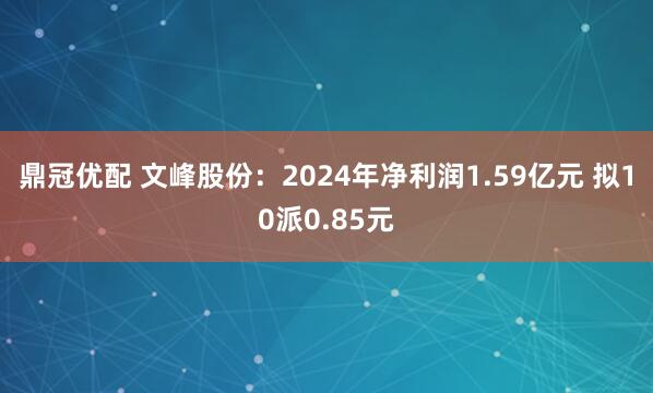 鼎冠优配 文峰股份：2024年净利润1.59亿元 拟10派0.85元