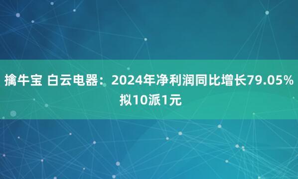 擒牛宝 白云电器：2024年净利润同比增长79.05% 拟10派1元