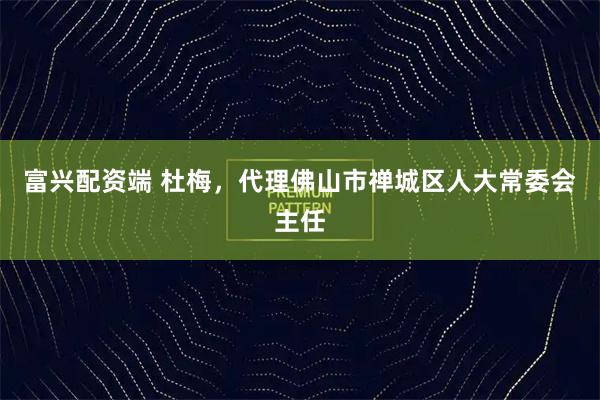 富兴配资端 杜梅，代理佛山市禅城区人大常委会主任