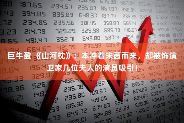 巨牛盈 《山河枕》：本冲着宋茜而来，却被饰演卫家几位夫人的演员吸引！